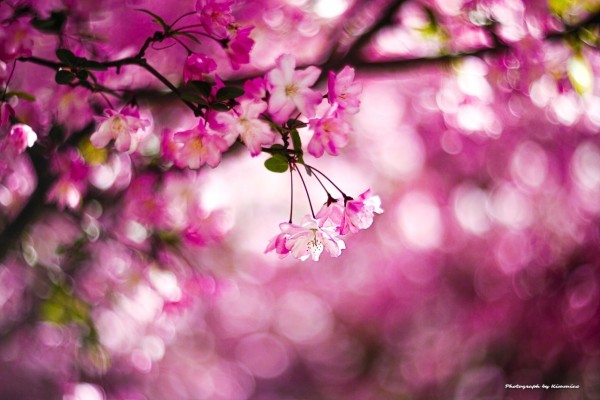 11d8e5e3ab450689ff03e99839ed30b3_1677200123_34.jpg