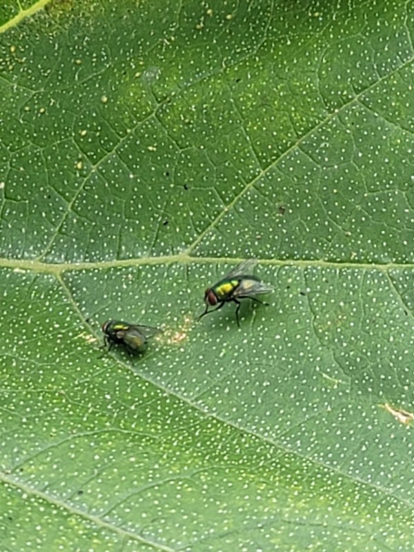 8bda4890d032cb4e20fa2f033d0880c9_1753785605_73.jpg