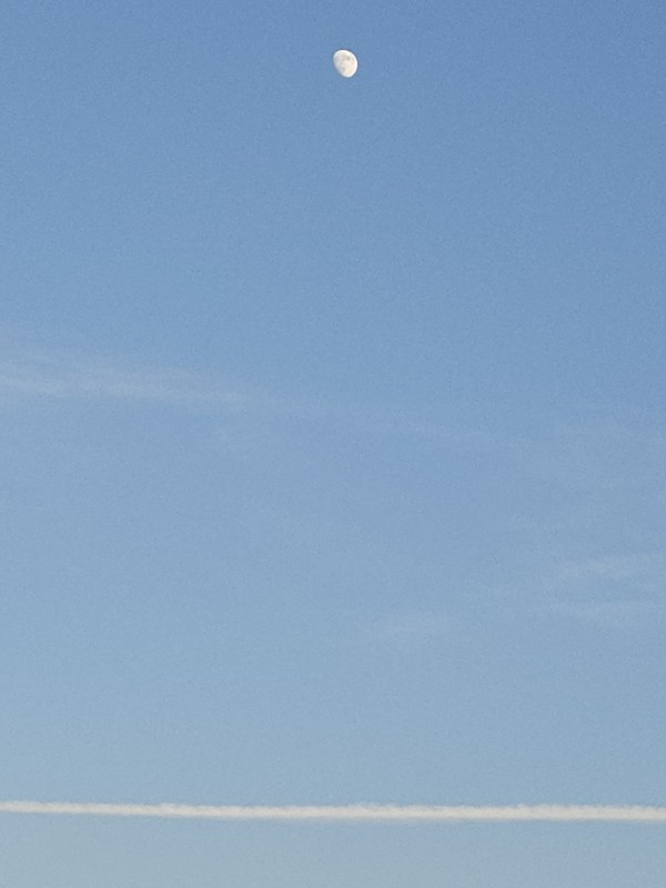 0f5d5dd469cc0c6180f23abacc278e07_1779367021_3.jpg