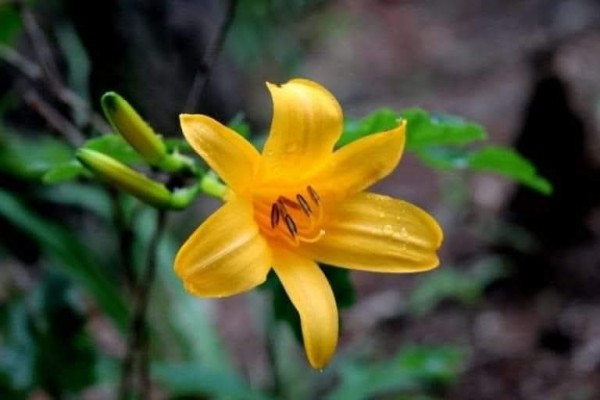284ee154811884910fd792ff62bb129d_1784985894_64.jpg