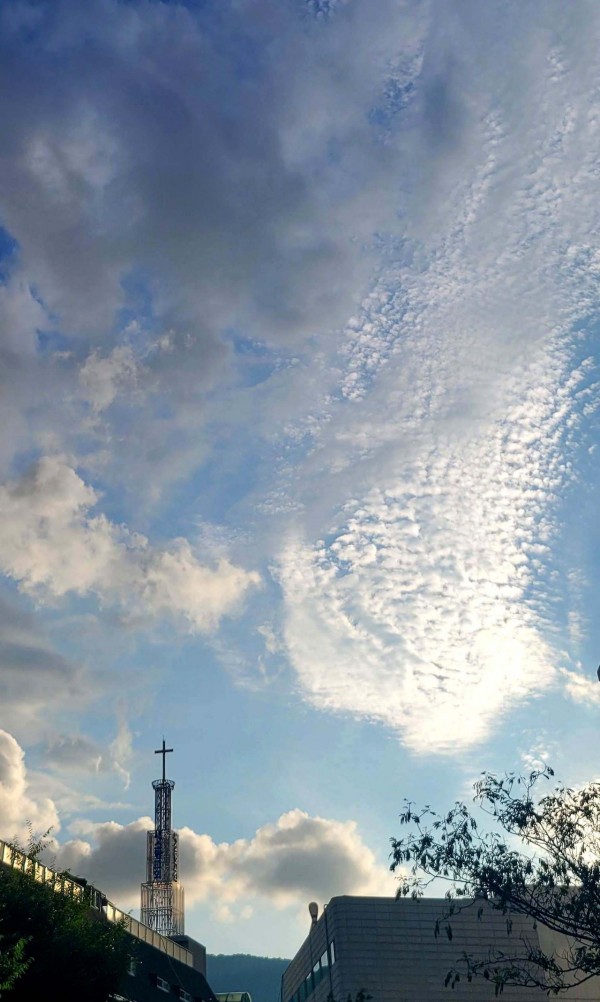 bc7dc58ce6e3eb4855d854166b27a838_1788769201_42.jpg