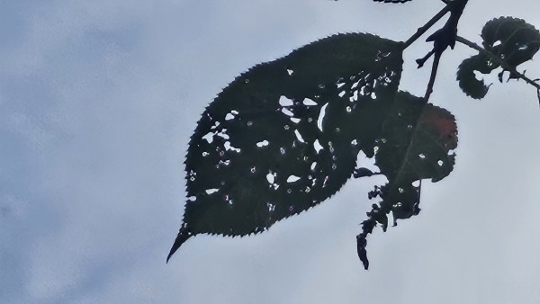 681536c2247074aabe0670b6a8103d18_1790906401_91.jpg